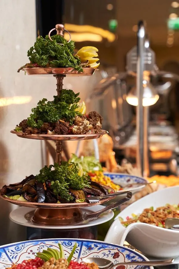 דובאי Carlton Downtown Hotel
