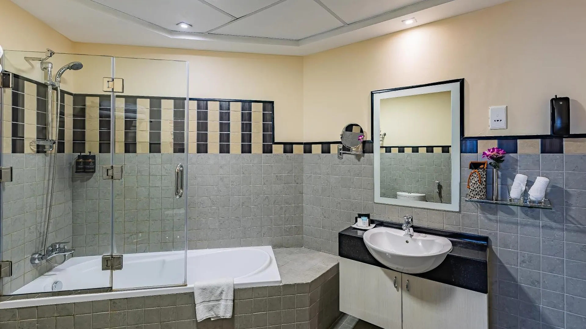 דובאי Carlton Downtown Hotel